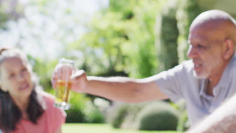 Happy-diverse-senior-male-and-female-friends-making-a-toast-at-a-picnic-in-sunny-garden,-slow-motion