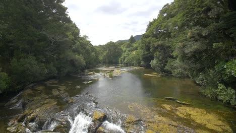 Fluss-Fließt-Durch-Den-Wald