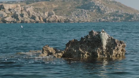 Closeup-on-a-rock-by-the-sea-shore-with-gentle-with-blurry-background-and-waves-moving-in-slow-motion,-Malta