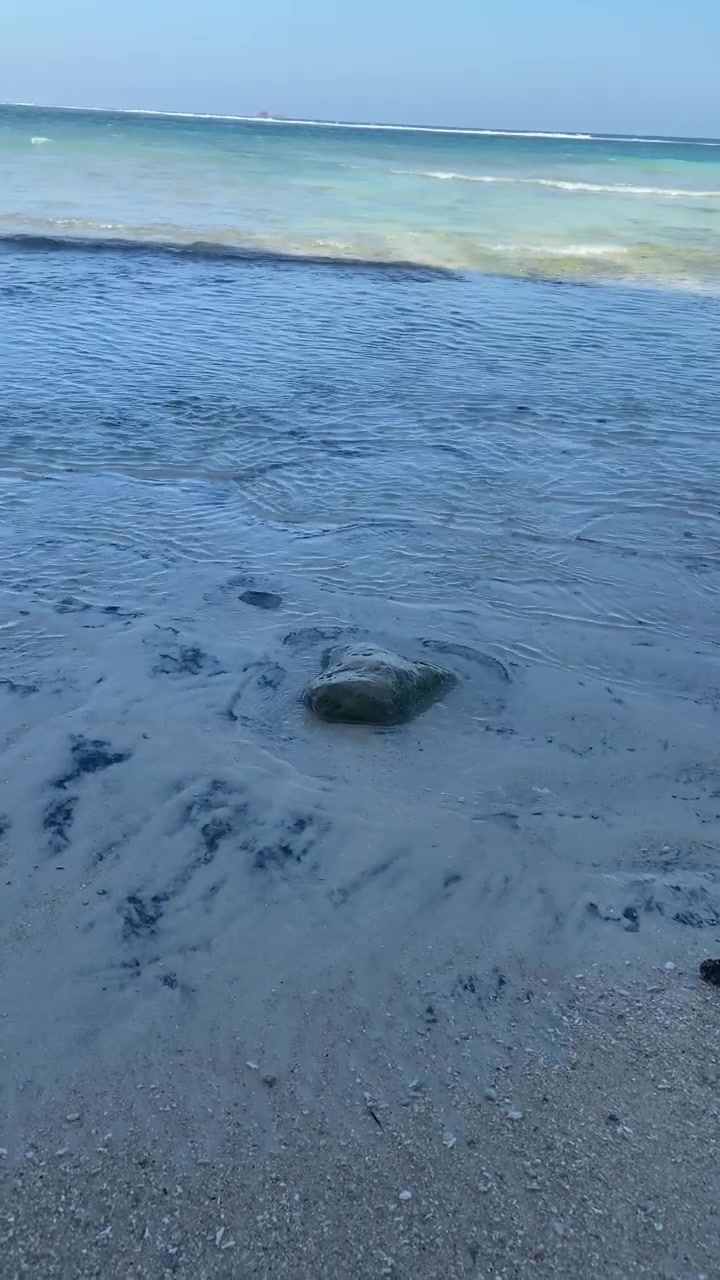 Gentle Ocean Waves Washing Over a Rock on a Sandy Beach