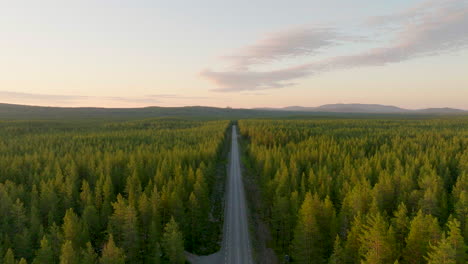 endless road amidst spruce forestland during sunset in lapland, northern sweden