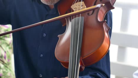 a musician playing the violin