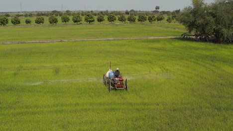 farmer spraying pesticides on rice field in south east asia