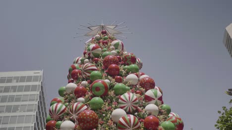 closeup of a big decoration christmas tree in the city of sydney during a sunny day with blue sky.