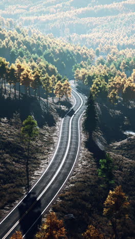 un camino sinuoso a través de un bosque en el otoño