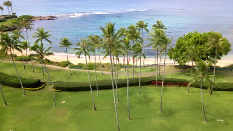 Vista-Aérea-De-Palmeras,-Playa-Tropical-Y-Océano-Turquesa-En-La-Bahía-De-Napili,-Maui