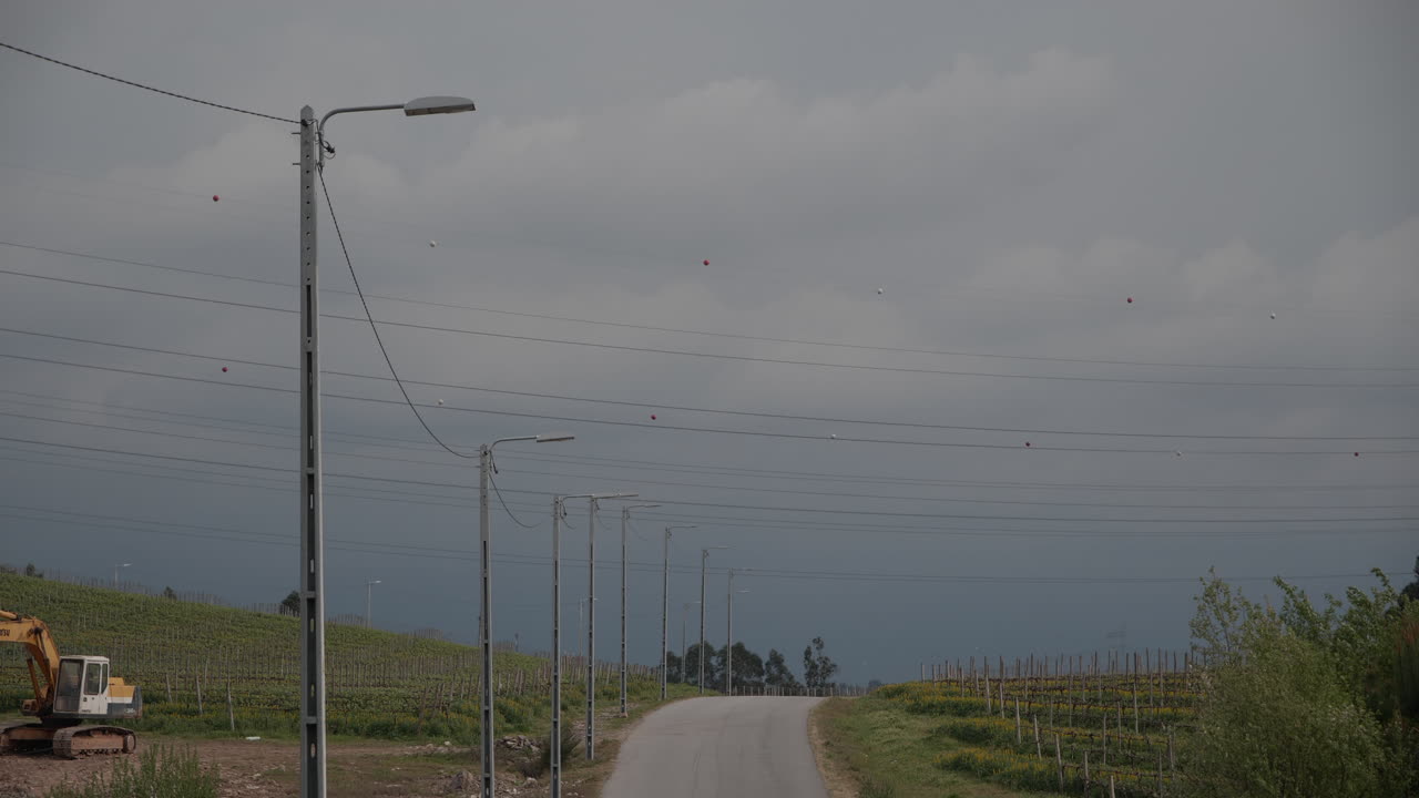 주변에 경작지가 있는 텅 빈 거리