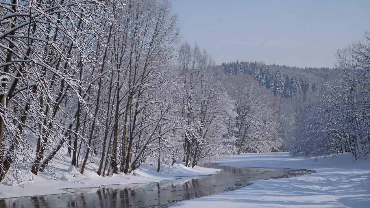 A serene winter landscape video with a wide-angle view, capturing snow-covered trees along a gently