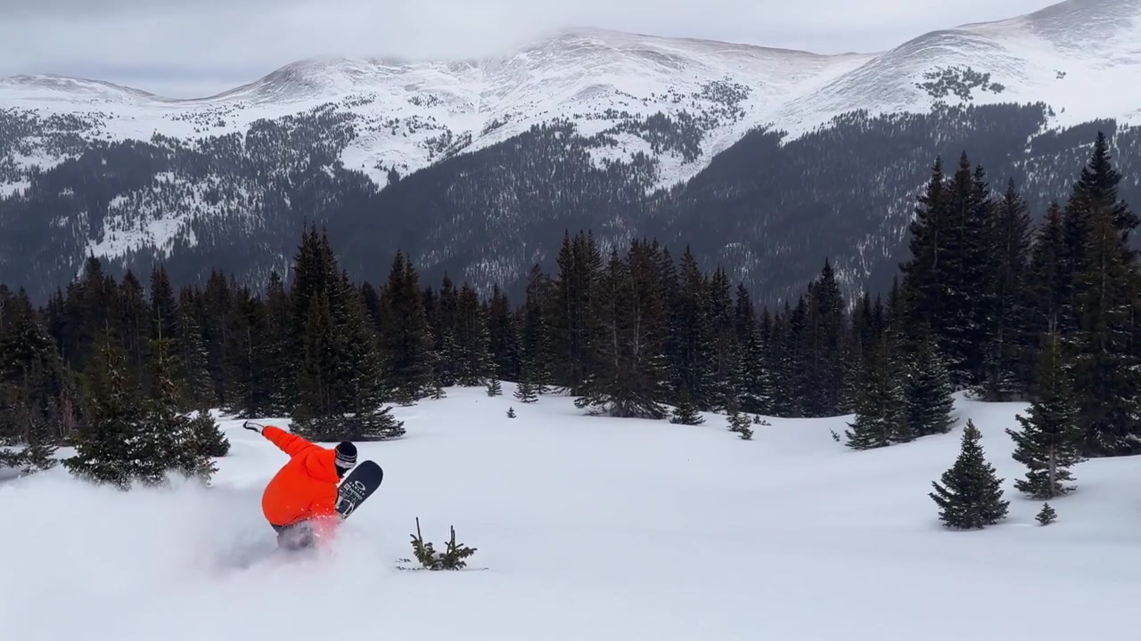 Snowboarder in fuoripista su neve fresca e profonda, curva tra gli alberi, carving, a Copper Mountain, Ikon Epic, Vail Pass, Colorado. Snowboard backcountry invernale, pista aperta tra gli alberi, conca, ripresa follow cam