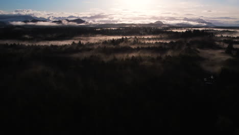 Lebendiger-Sonnenaufgang-Mit-Frühem-Morgennebel-Zwischen-Waldbäumen,-Tofino,-BC