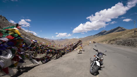 dog walks normal speed in front of windy prayer flags and motorbike on high pass with fluffy time lapse clouds in background on himalaya pass