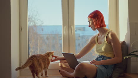 girl sitting with laptop on sunlit windowsill and petting adorable cat