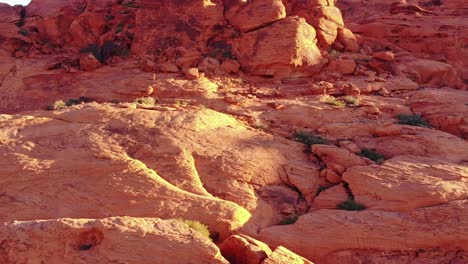 Canyon-walls-and-mountain-foliage