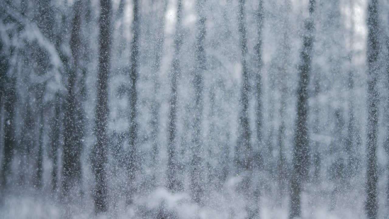paisaje de invierno durante las nevadas. fondo abstracto de navidad de invierno en súper cámara lenta.
