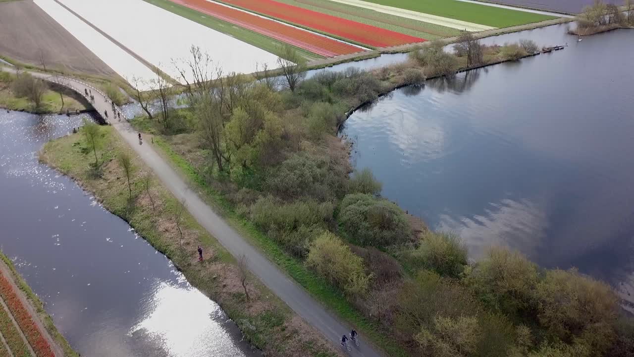 네덜란드의 튤립 밭을 패닝 업 보기