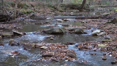 A-small-stream-flowing-through-the-forest-on-a-cool-autumn-day-in-the-mountains