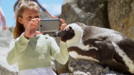 girl taking photo of young penguin bird with mobile phone 4k