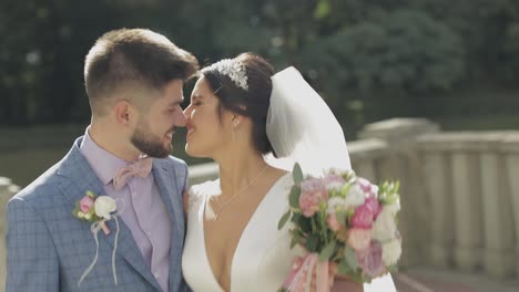 Novio-Caminando-Con-La-Novia.-Pareja-De-Boda.-Familia-Feliz.-Hombre-Y-Mujer-Enamorados