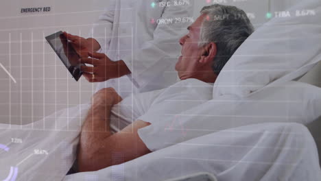 in hospital, doctor showing digital tablet with animation to patient in bed