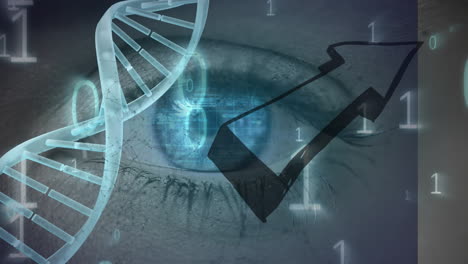 animation of data processing and dna strand over eye of caucasian woman