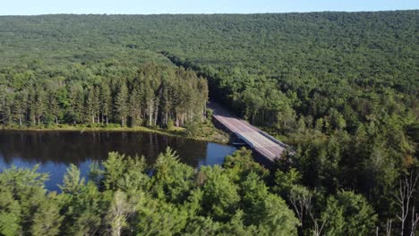 birds-eye-view-to-a-rural-Pennsylvania-road-in-a-forest