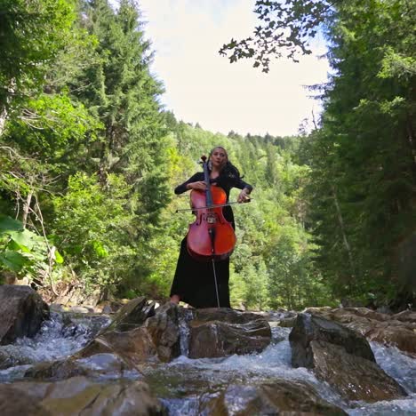 cellist playing music on green nature background. beautiful woman in black dress plays the cello among forest river. view from below.