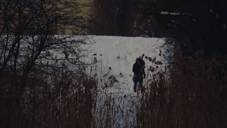 woman walking in the snow with her dog, active lifestyle