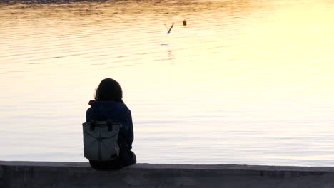 a woman is looking at the lake and a flying seagull against the backdrop of a sunset