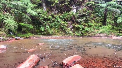 Bubbling-thermal-hot-springs-in-Caldeira-Velha-tropical-valley,-Azores