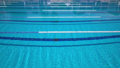 olympic swimming pool background on a bright sunny day