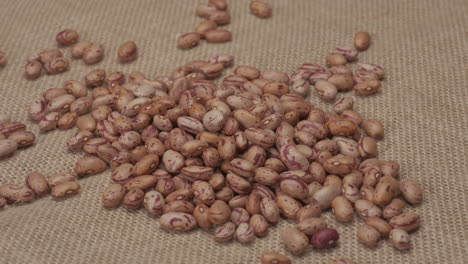 dry beans borlotti rotating on jute canvas