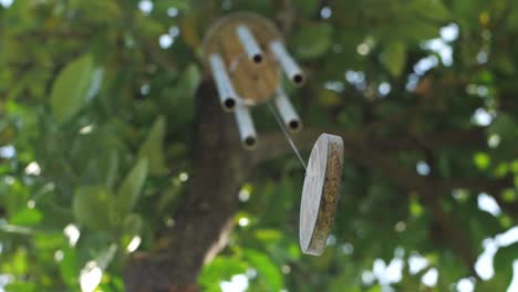 Low-Angle-View-Of-Handmade-Dream-Catcher-Hanging-On-A-Tree