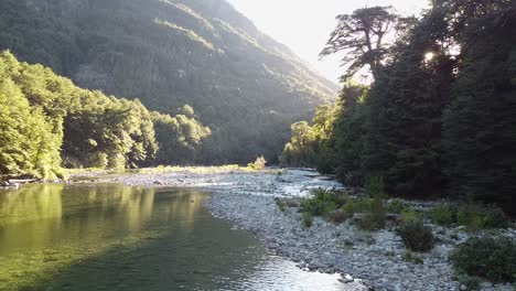 Fluss-In-Einem-Mit-Bäumen-Und-Vegetation-Und-Steinigem-Boden