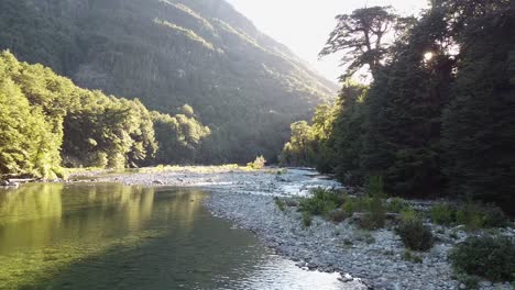 river in one with trees and vegetation and stony ground