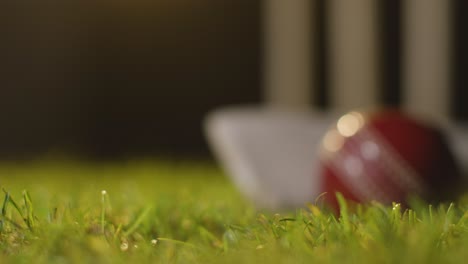 criquet todavía la vida con close up de la pelota y el bate que yace en la hierba delante de los troncos 6