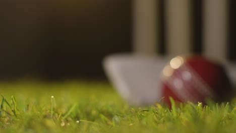 cricket still life with close up of ball and bat lying in grass in front of stumps 6