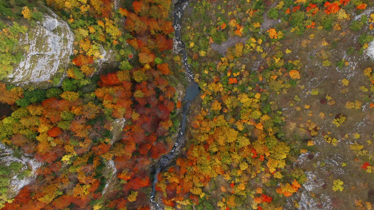 Aerial view of a river cutting through a colorful autumn forest The trees are a mix of yellow orange and red against a backdrop of rock formations
