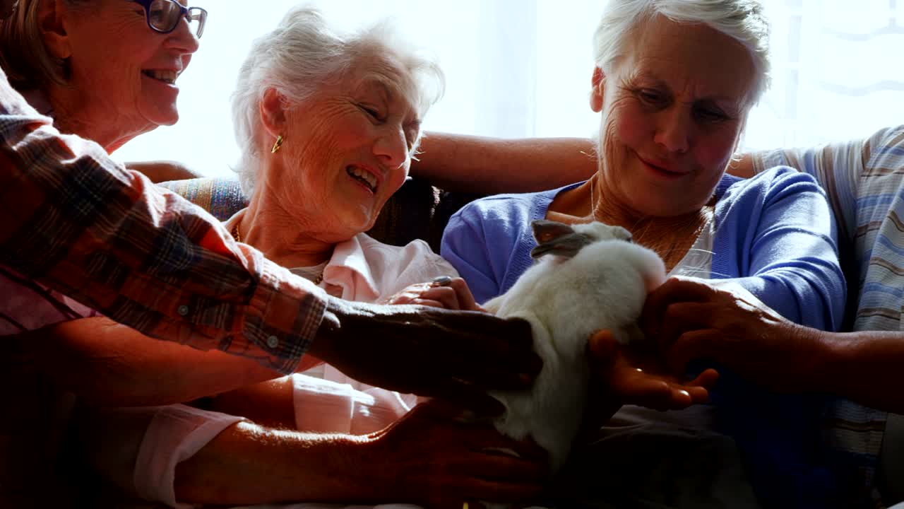 노인 요양원에서 토끼를  ⁇ 는 고령 친구들 4k