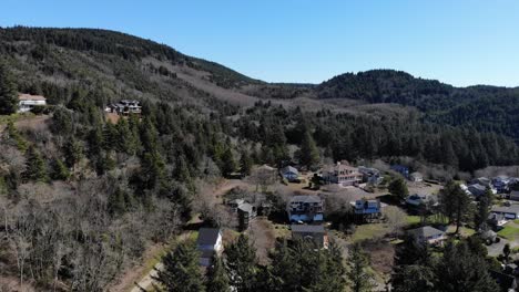 drone flies over houses in the mountains and pine trees in the afternoon