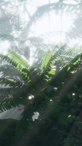 sunbeams shining through the lush green foliage of a tropical forest