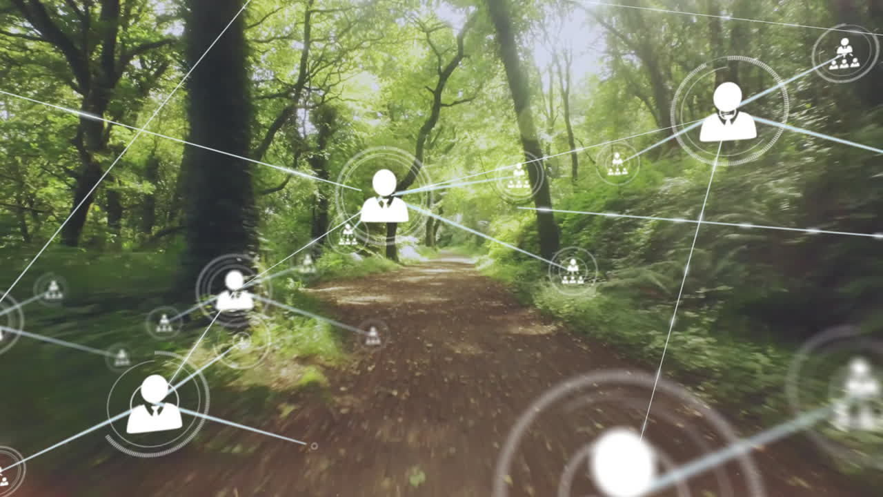 연결의 네트워크 및 소셜 미디어 아이콘 숲 경로에 대한 애니메이션