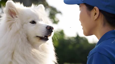 a heartwarming moment between a dog and its owner: capturing the special bond of affection and trust in a serene outdoor setting