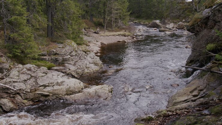 River runs through rocky forest landscape with moss, pine trees, and cloudy sky