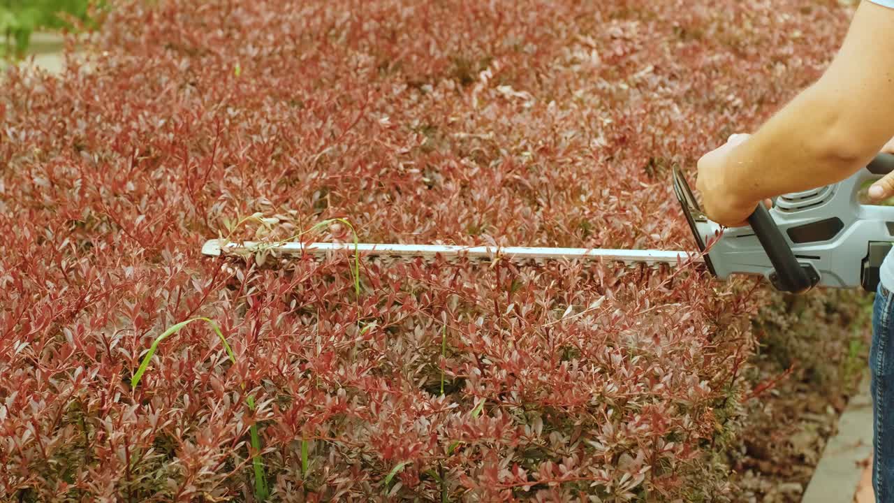 정원 가공자: 을 위해 전기 트리머를 사용하여 녹색 공원에서 헤지 트리머. 정원에서 덤불 울타리를 형성하는 노동자: 뒷마당에서 오렌지 전기 트리마를 사용하여 관목 식물을 잘라.