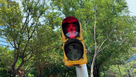 view of red traffic light in shape of human on lamppost in mexico city