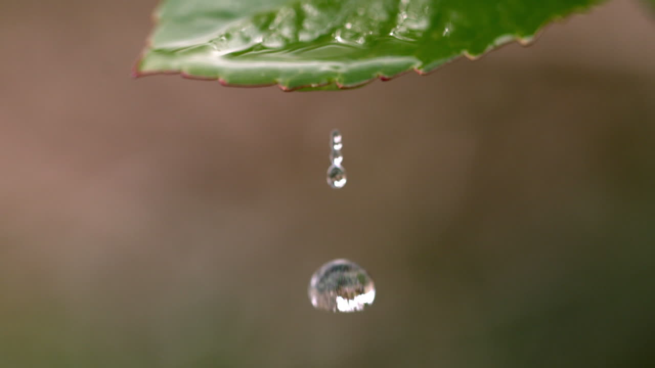 agua cayendo de una hoja