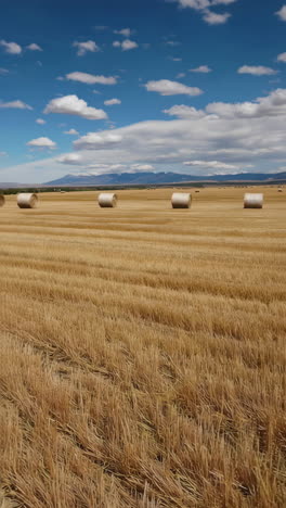 hay bales in golden fields and close-up textures