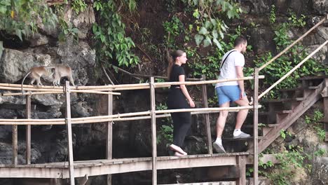 group walking along a scenic mountain path