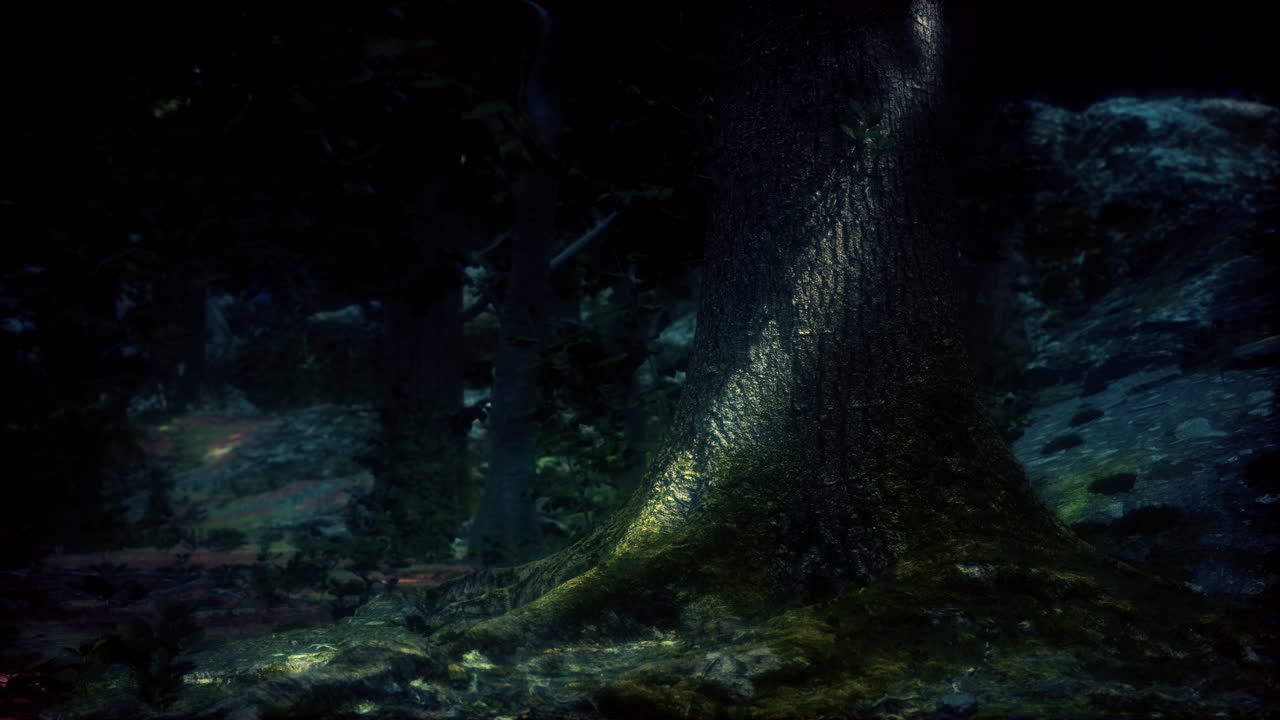 bosque oscuro por la noche