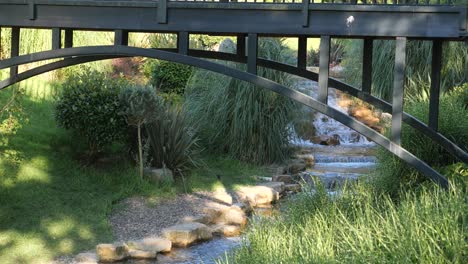 black wooden bridge over a garden stream